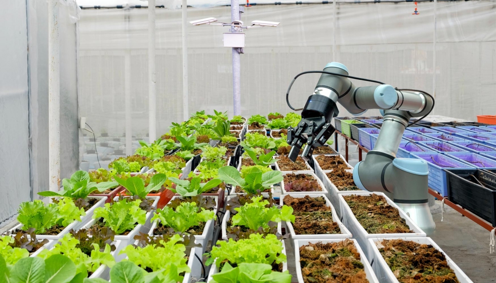 Sistemas Inteligentes en la Agroindustria
