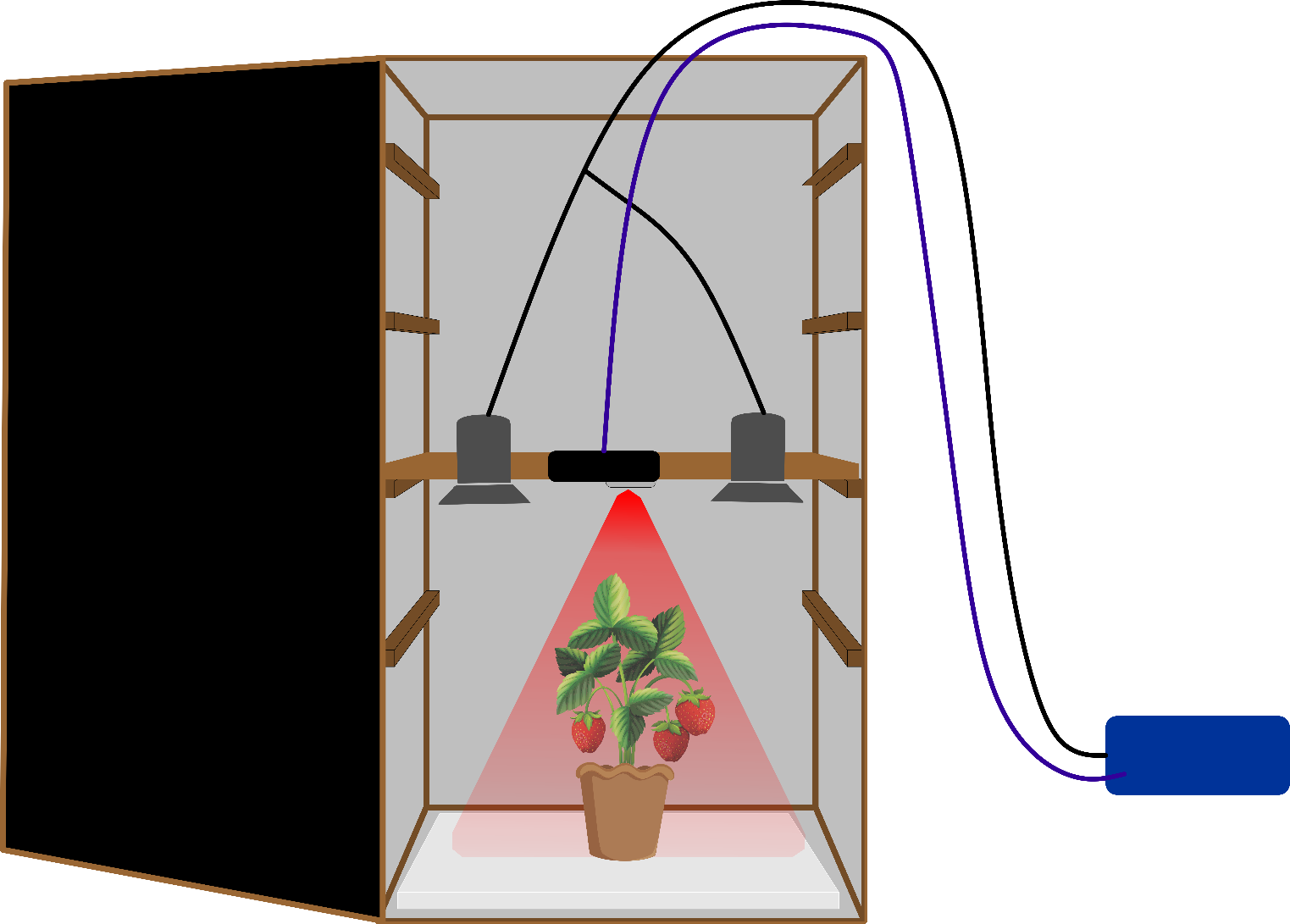 Desarrollo de nuevos métodos de estimación de la biomasa usando termografía pulsada